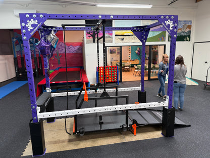 SensoryRx Wheelchair Swing