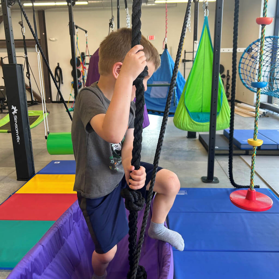 Sensory Swings – Page 2 – SensoryRx
