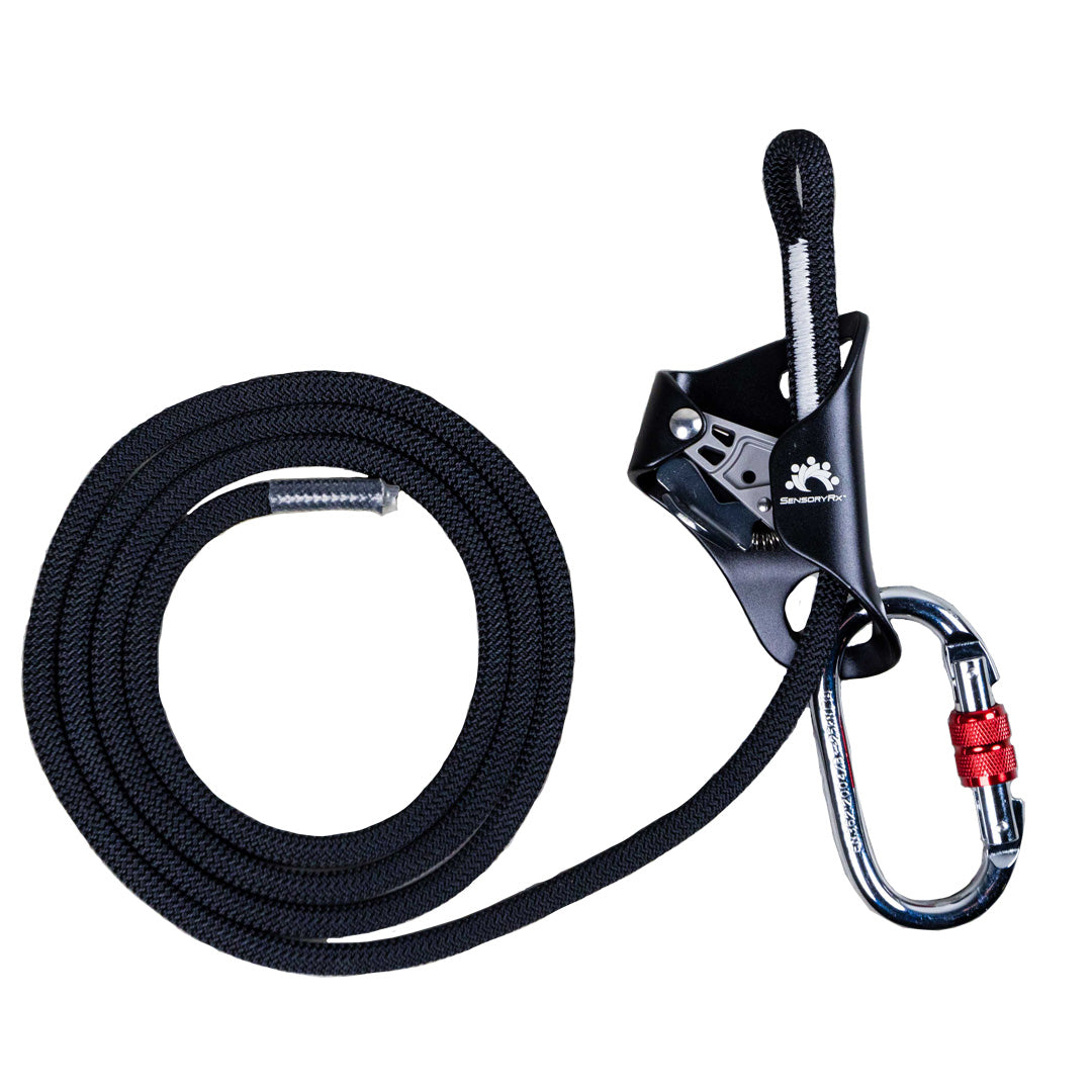 Swing heigh adjuster kit with a rope, ascender, and carabiner
